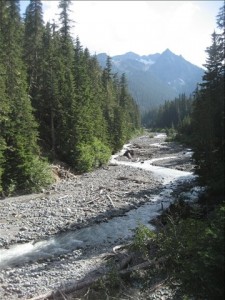 Frying Pan Creek