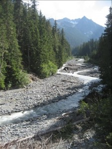 Frying Pan Creek Frying Pan Creek