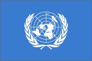 UN flag UN flag